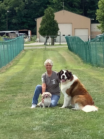 bow wow's boutique large enclosed grassy play area for dogs