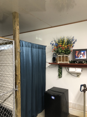 entrance to bow wow's boutique located in Atwater Ohio