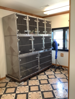 bow wow's boutique drying area