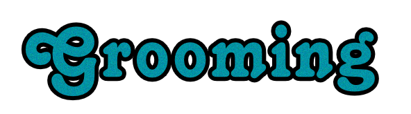 bow wow's boutique grooming image